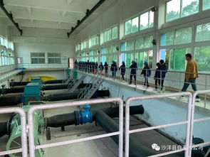 沙洋中小學生走進自來水廠 體驗生產(chǎn)流程 樹立節(jié)水意識